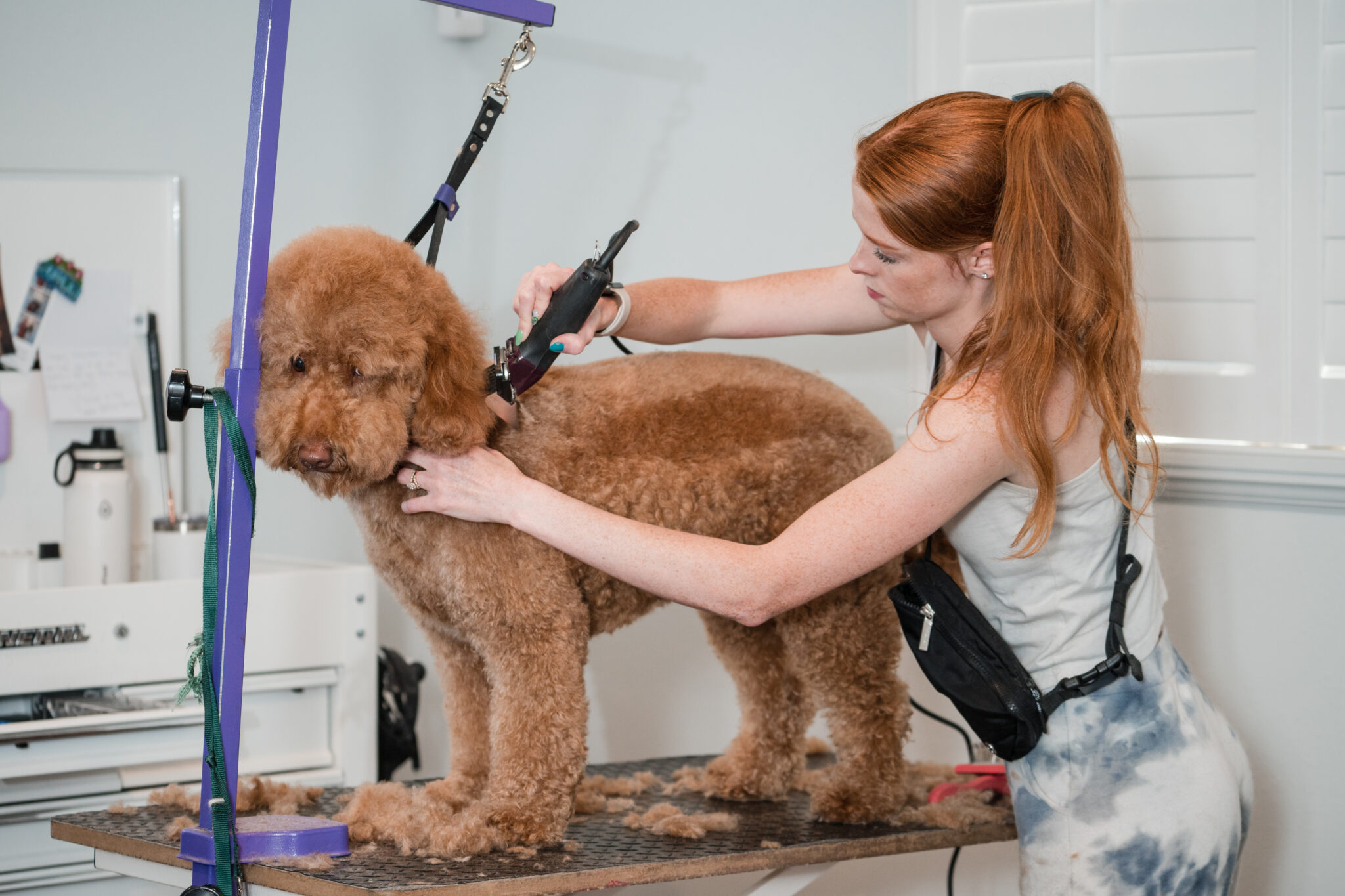 K9 Design Pet Grooming K9 Design Pet Grooming